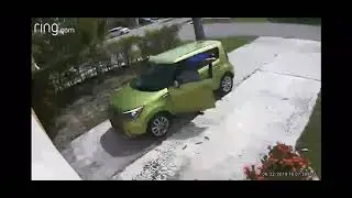 Ring captures man taking a crap in a stranger’s driveway!