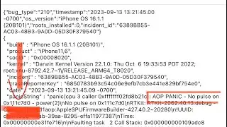 XsMax bizarre | AOP PANIC - No pulse on 0x11c7d0