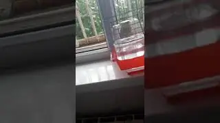 Я   вернулся