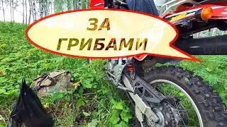 одиночная эндуро поездка за грибами