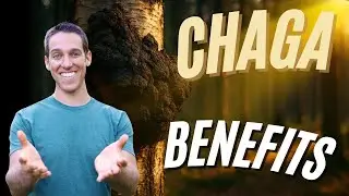 Chaga Mushroom: Benefits, Traditional Uses, and How to Brew Chaga Tea for Health