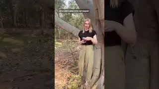 Таро расклад| ДЛЯ ЧЕГО ДАНА СИТУАЦИЯ | Для связи: What’s App/Telegram: +79688889434