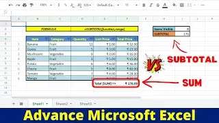 How to Count and Sum Only Visible Items in a Filtered list|Excel SUBTOTAL Function|