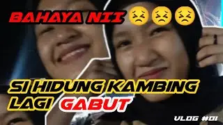Bahaya nii... Hidung kambing lagi gabut!!! 😯😯😯😭😭😭