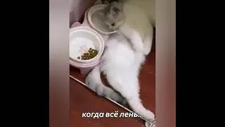 кто, как не мы!