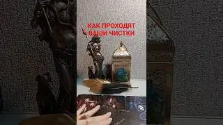 КАК ПРОХОДЯТ ВАШИ ЧИСТКИ 