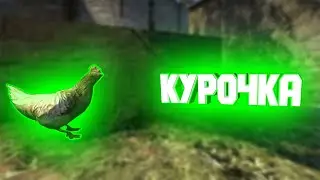 КУРОЧКА | НАРЕЗКИ КС ГО, СМЕШНЫЕ МОМЕНТЫ CS:GO, FUNNY MOMENTS