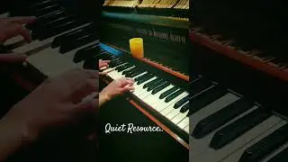 Quiet Resource - Evelyn Stein🎶🌹