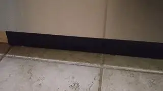 GE Dishwasher Squealing Issue