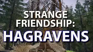 The Skyrim Mod Where You're a Hagraven's Apprentice