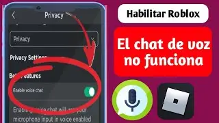 Cómo obtener el chat de voz de Roblox (2024), Cómo habilitar el chat de voz en Roblox,