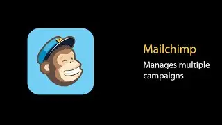 MailChimp iPhone app review