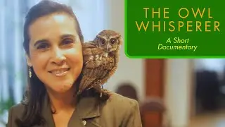 The Owl Whisperer | A Short Documentary