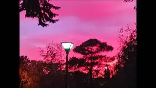 Cypress - Time of Hope (Pink Time)