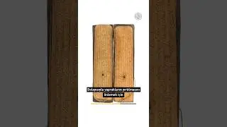 Bu alfabeler neden kıvrımlı? 👀
