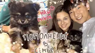 У НАС ПОЯВИЛСЯ СЫНОК! 🐶ЗАВЕЛИ ЩЕНКА В КОРЕЕ/ ПОКУПКА И ПЕРВЫЕ ДНИ ДОМА🇰🇷