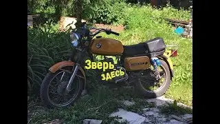 Восход 3м 01 / Выгнал своего Зверя! (18+)