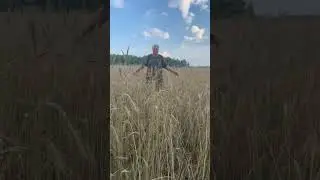 Красота природы. Июль 2024 #деревнямоя