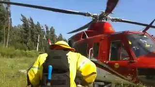 Palma 5-1    2016 conaf
