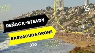 REÑACA SWEET AND STEADY