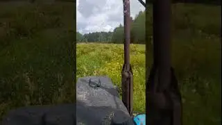 🌿☘🔆МТЗ-82 сенокос 2023❗
