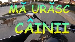 ÎNTÂMPLĂRI ÎN TRAFIC #22 - E GREU ÎN BUCUREȘTI