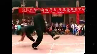 Wing Tsun Kung Fu - szkolakungfu.pl