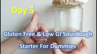 👍 Day Five 👍 How To Make A Gluten Free Low GI Sourdough Starter For Dummies #teemars