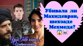 Убивала ли Махидевран, шехзаде Мехмеда в реальности?(Интриганка)