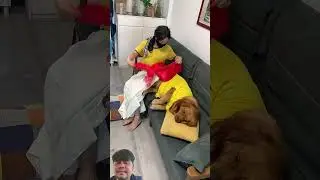 #dog