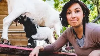 My Family left me HOME ALONE...to do all the Farm Chores
