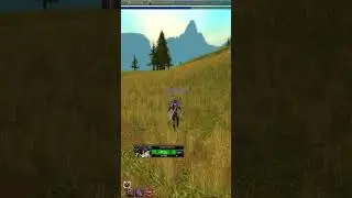Челлендж #17 WOW  WOTLK  