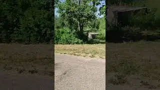 деревня в Костромской области