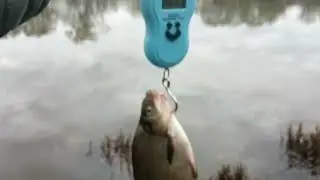 Укрупняемся