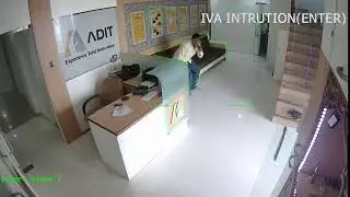 AVTRON Smart IVA Function Perimeter(Intrusion)