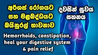 අර්ශස් හෝ මළබද්ධය නම් අනිවාර්යෙන් මේ භාවනාව අහන්න. කිසිම බෙහෙතක් නැතුවදවසින් සුවය සහනය Hemorrhoids