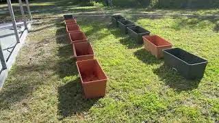 2024 Plans for the Food Forest