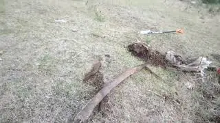 хорошие находки на выбитых местах с st944