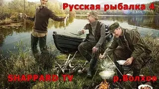 Русская рыбалка 4 .р.Волхов. Ловим зачетных лещей на три фидера WINGATE FF130XH !!!