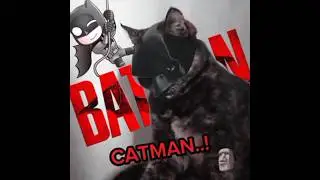 Bro Ain't Gonna Save The City.!💀#trollface #hkqedits