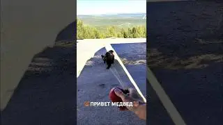 ДАЛЬНОБОЙ ПО ЯКУТИИ НА ПЯТИТОННИКЕ / НАКОРМИЛ МЕДВЕДЯ ЯБЛОКАМИ🐻🐻🐻 