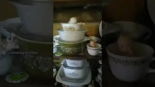 CorningWare, Pyrex, Anchor Hocking Collection