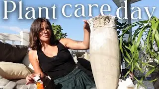 Wow! I have 300 plants - let's do plant chores!