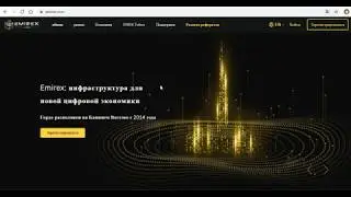 ОбЗОР ICO Emirex