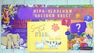 #️⃣5️⃣ Игра-челлендж «Цветной квест»