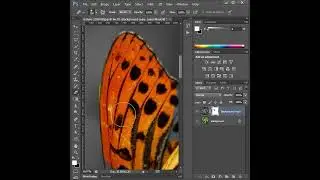 Selective Coloring in Photoshop #shorts #photography #photoediting