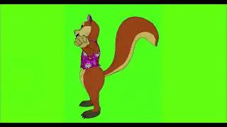 2D SQUIRREL GUGU#18  || GREEN SCREEN || 4k || ANIMATION  || FREE 3D