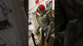Finding Mothman