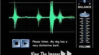Massive Scary Pop Up Flash Game 18 - Help Missing Dog