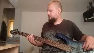 Rammstein - Ohne Dich (bass cover)